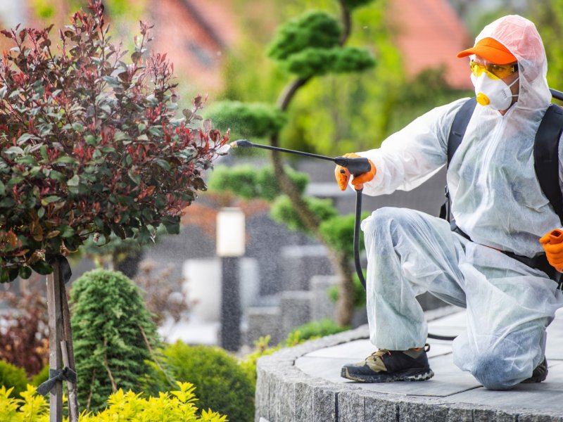 Tefenni Haşere İlaçlama